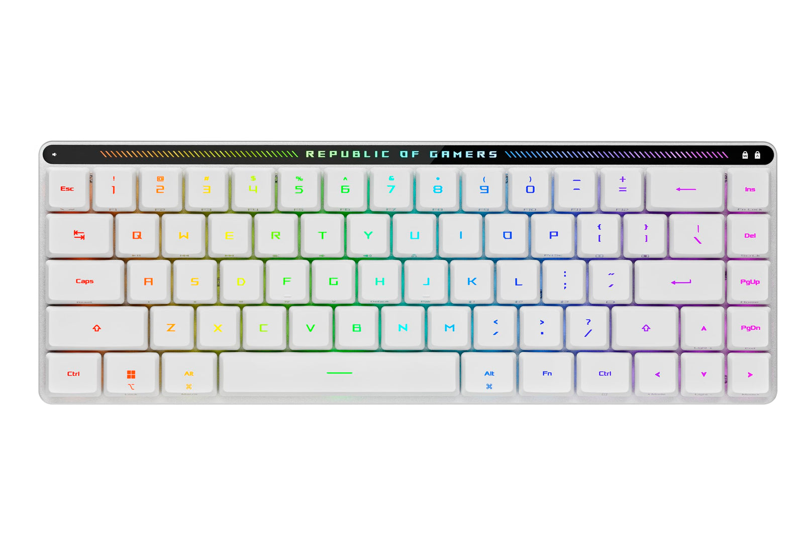 Gaming Keyboards & Keypads